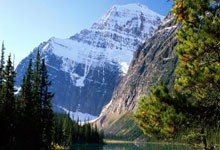 探索外汇论坛与天涯网的世界