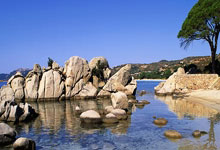 探索天涯社区台湾论坛的热闹时光，用户在这里把两岸心连在一起，手拉手聊天。